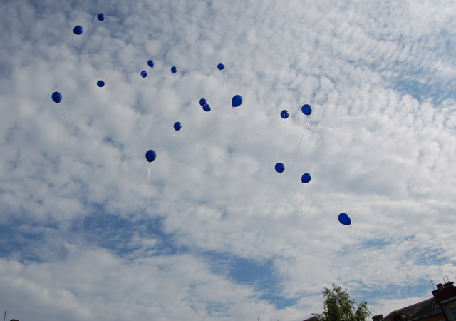 Ведущий –  Полетел воздушный  шарик Погулять по облакам! Мы по небу с ним летаем Что мы видим свысока: 